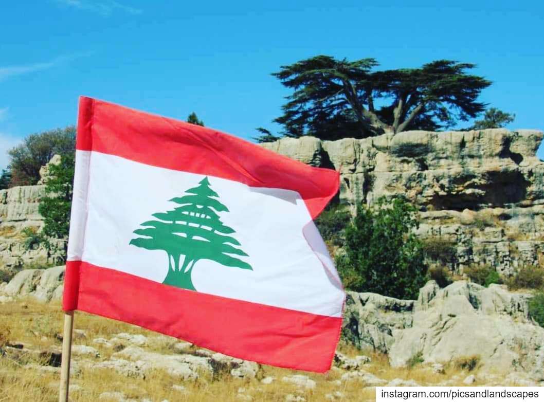 "I am from Lebanon, I am from the ground underneath my homeI am from the... (Cedar Reserve Tannourine)
