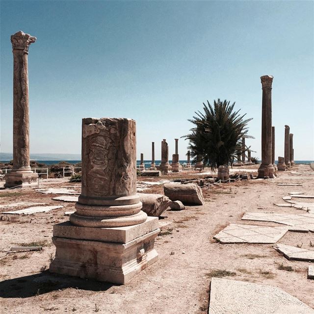 I got Tyre-s in my eyes 😍 Beirut architecture ruins iamatraveler....... (Tyre, Lebanon)