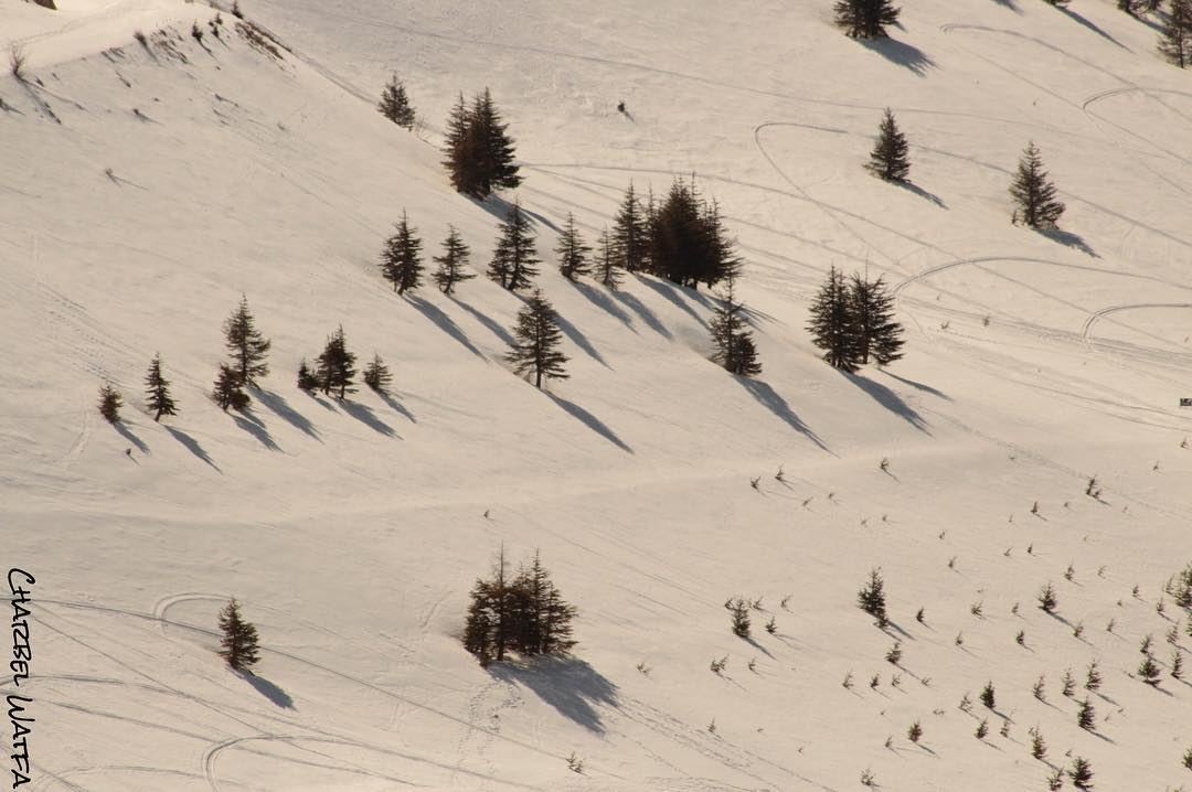 I have existed from all eternity and, behold, I am here; and I shall exist... (Cedars of God)