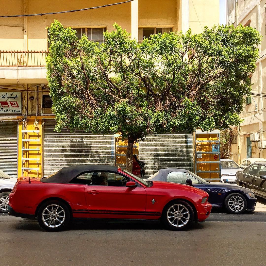 I’ll race you to Friday!Happy Monday people✌🏻::::::::::::::::::::::::::: (Beirut, Lebanon)