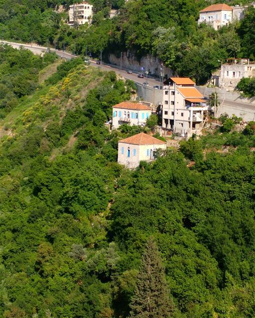 I'm dreaming of green lands 🏡 (Ghazir, Mont-Liban, Lebanon)