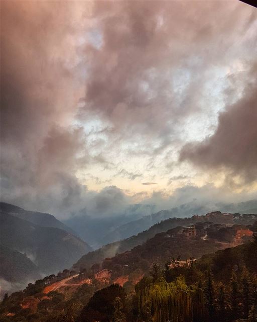 I see the world in pink  nature  naturephotography  naturelovers ... (Broummâna, Mont-Liban, Lebanon)