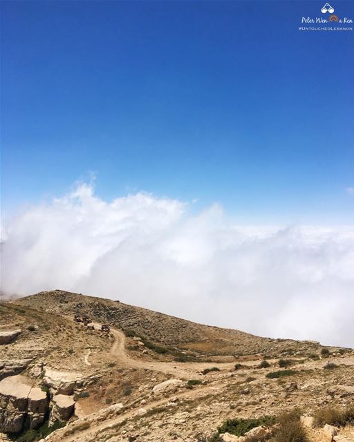 I think 💭 i will be able to, in the end, rise above the clouds and climb... (Lebanon)