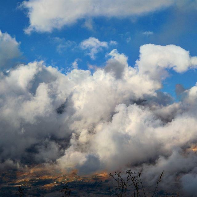 I was sitting between the clouds!... (Frozen Cherry)