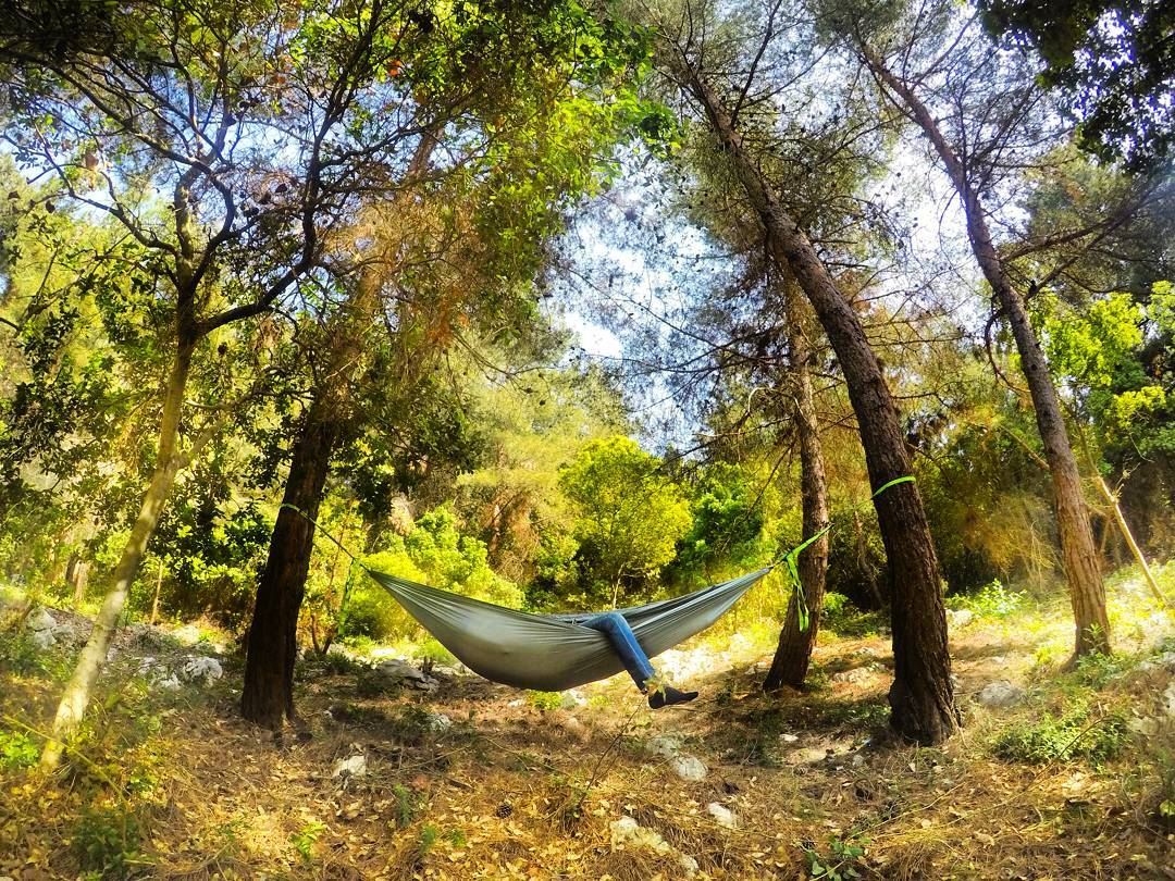 I would start a revolution, but I just bought a hammock.😜 hammock ...