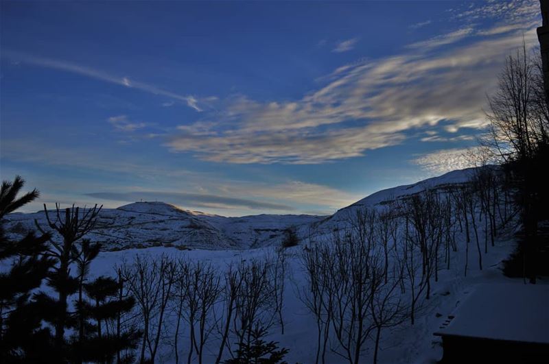 If i could i would take photos for your white heart..... (Kfardebian)