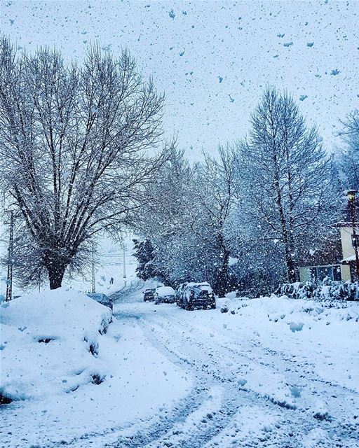 If snowflakes were kisses I'd send you a blizzard❄❄❄❄❄❄ livelovebeirut ... (Mzaar Kfardebian)