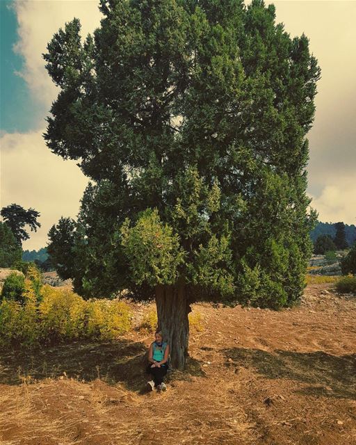 If you were to pick a spot any spot ...would you pick one like I did 🌳🌻☀️ (El Qâmoûaa, Mont-Liban, Lebanon)