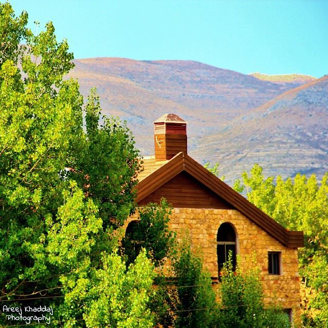  ig_leb  proudlylebanese  livelovebeirut  wearelebanon  ig_lebanon ... (Faraya, Mont-Liban, Lebanon)