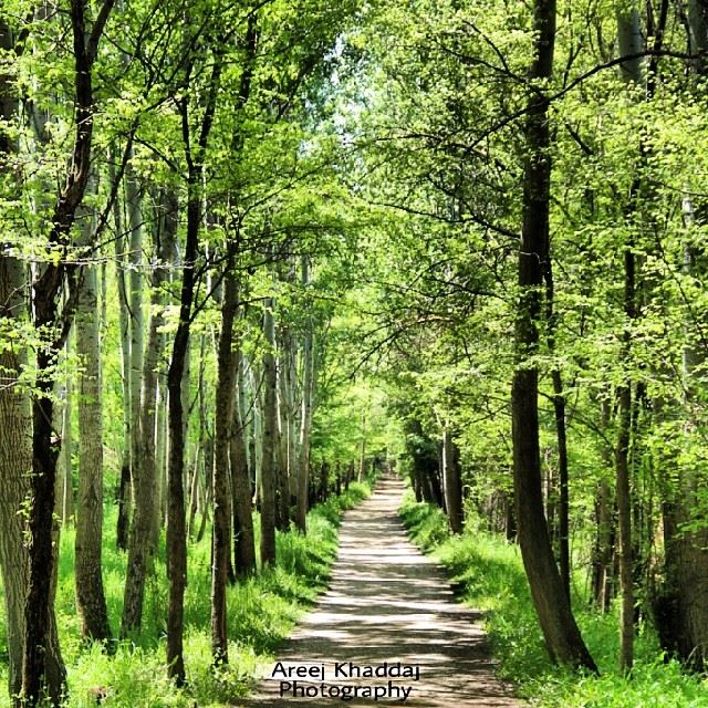  ig_leb  proudlylebanese  livelovebeirut  wearelebanon  ig_lebanon ... (Taanayel Lake)