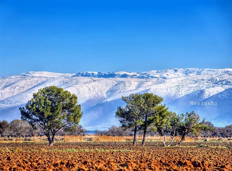  ig_myshot ig_myshots ig_masterpiece composition nakedplanet worldbestshot... (`Ammiq, Béqaa, Lebanon)