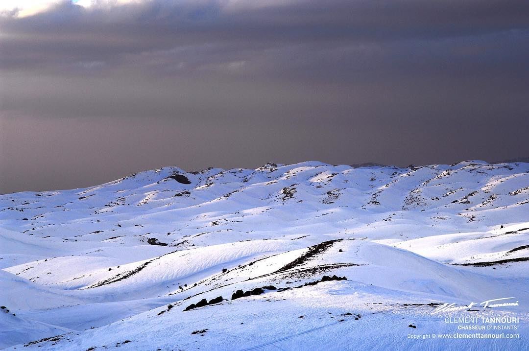 Il neigea. La neige, comme la mer, exerce un pouvoir ensorceleur, nous... (Faraya, Mont-Liban, Lebanon)