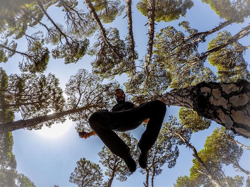 Im not saying Im Spiderman Im just saying no one has ever seen me and... (Blue Jay Valley)