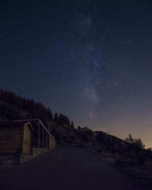 In a parallel... (Shouf Biosphere Reserve)