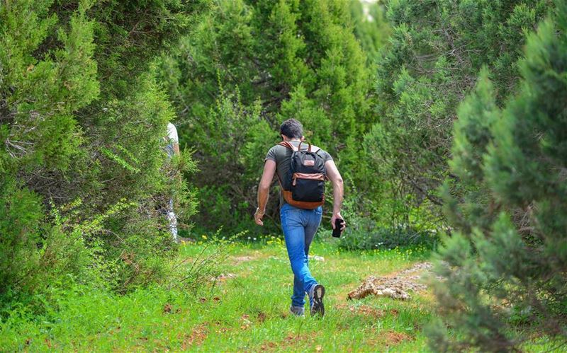 In every walk with nature one receives far more than he seeks🌳🍃🌿🍀🌱... (`Akkar, Liban-Nord, Lebanon)