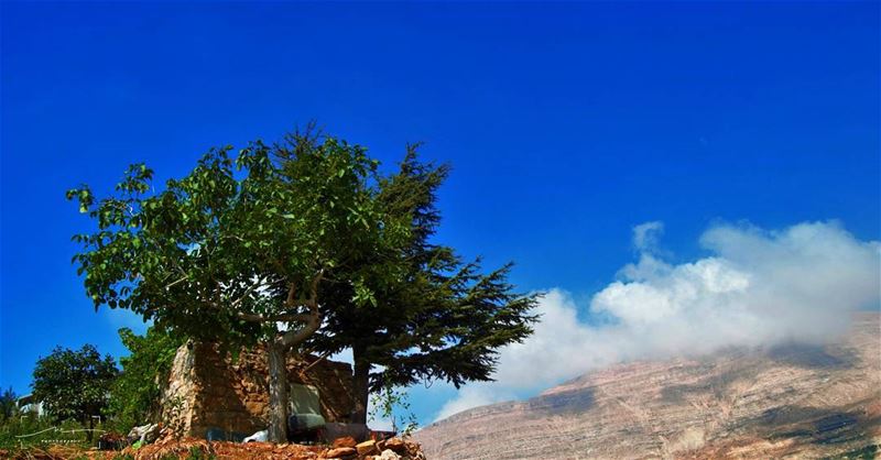 In the middle of... (Bcharreh, Liban-Nord, Lebanon)