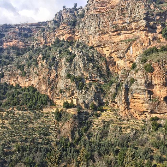 In the middle of... (Bcharreh, Liban-Nord, Lebanon)