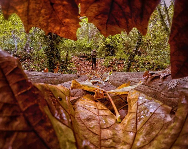 In the middle of nowhere,An old wooden bridge is a golden bridge@luciaria (Ouâdi Qannoûbîne, Liban-Nord, Lebanon)