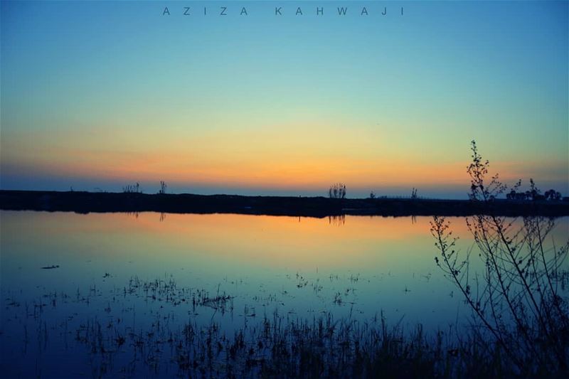 in this world being a little crazy helps to keep you... (Tyre, Lebanon)