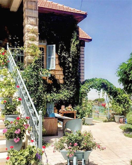  insta_lebanon   house summertime  friends   greenery  livelovebeirut ... (Falougha, Mont-Liban, Lebanon)