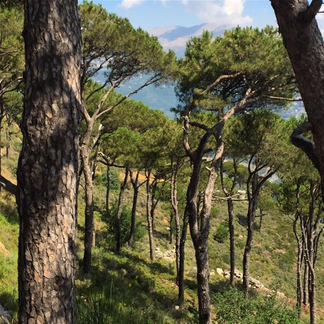  instacool  instalike  ig_lebanon  igersoftheday  nature  naturelovers ... (Dhoûr Ech Choueïr, Mont-Liban, Lebanon)