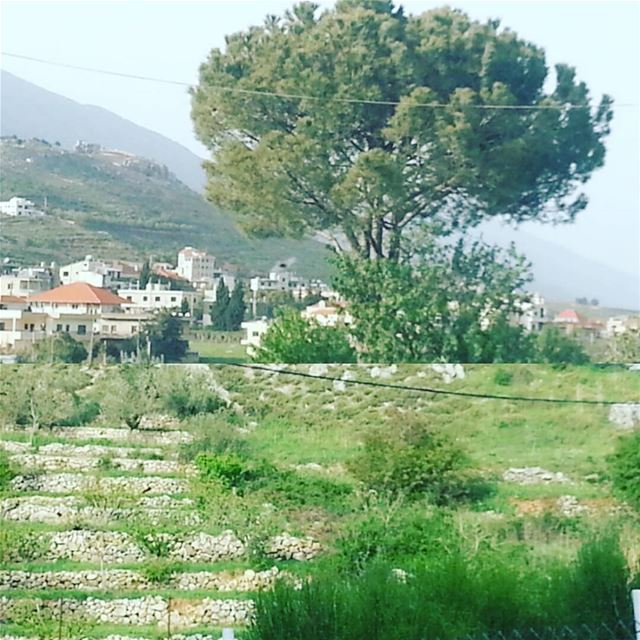  instalebanon  beautifullebanon  wearelebanon  whatsuplebanon ...