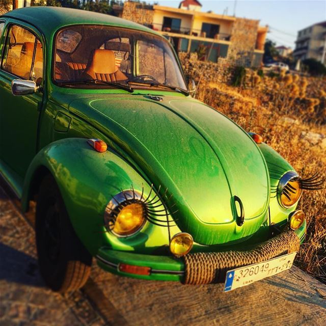  instame instamood cars collection wolkswagen  green  old cool dayout... (أهدن  لبنان)