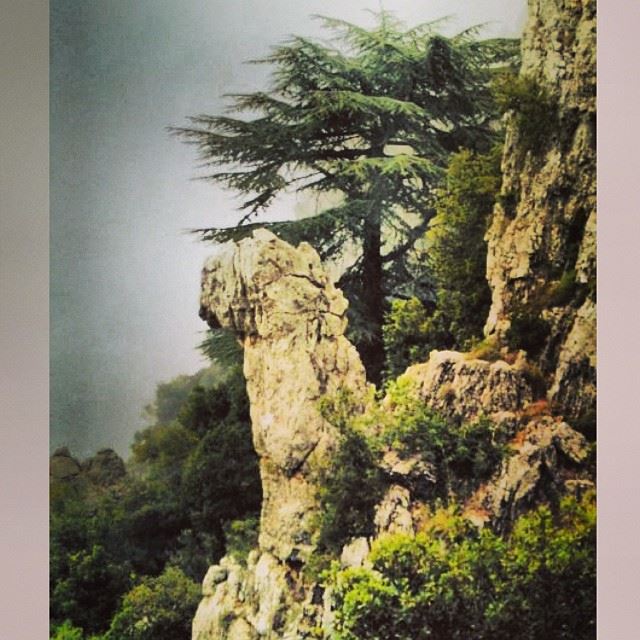  InstaSize  lebanon  love  beauty  photography  viewfromlebanon  view ...