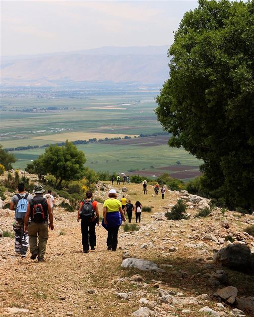 Into the plain ...  westbekaa hikingadventures hiking hikinglife nature... (West Bekaa)