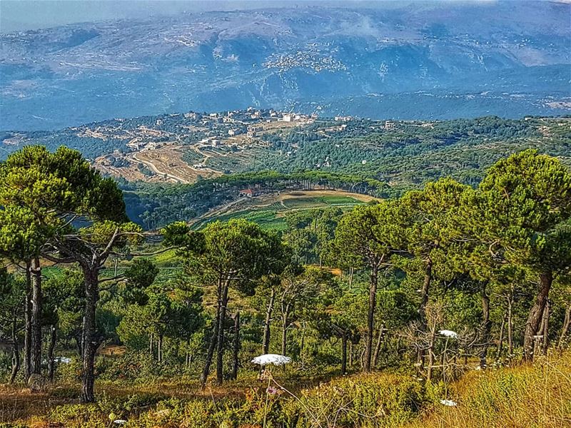 Into the valley  valley  green  landscape  mountain  ig_lebanon ... (Falougha, Mont-Liban, Lebanon)