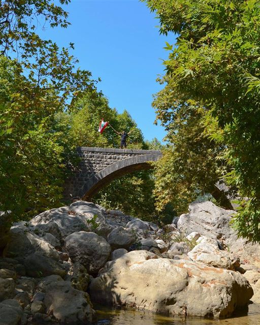 Into the wild 🍃... (My Adventures Lebanon)