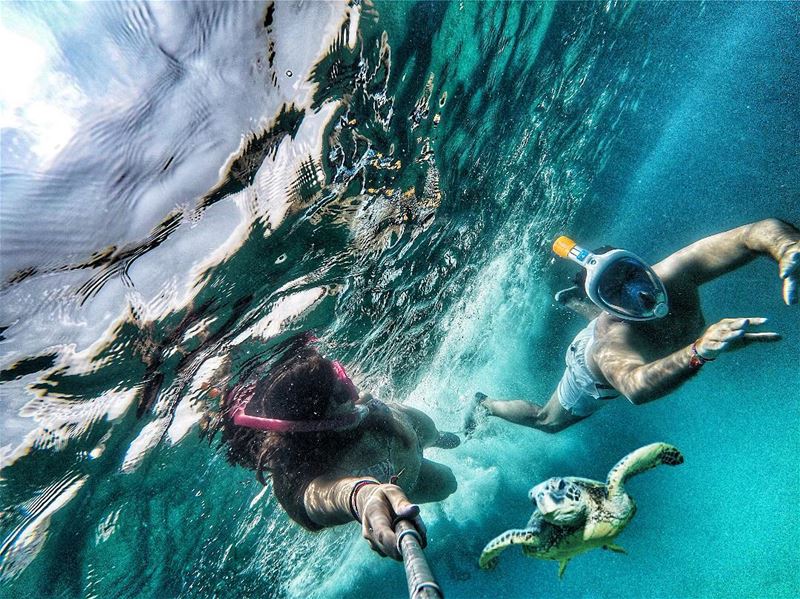 Isn't life better under the sea? ExploreLebanonWithDecathlon. . By @ak.r (Batroûn)