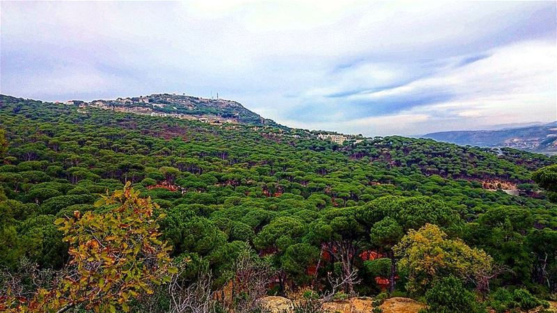 It feels good to be lost in the right direction 👈 From today's  hike in ... (Bkâssîne, Al Janub, Lebanon)