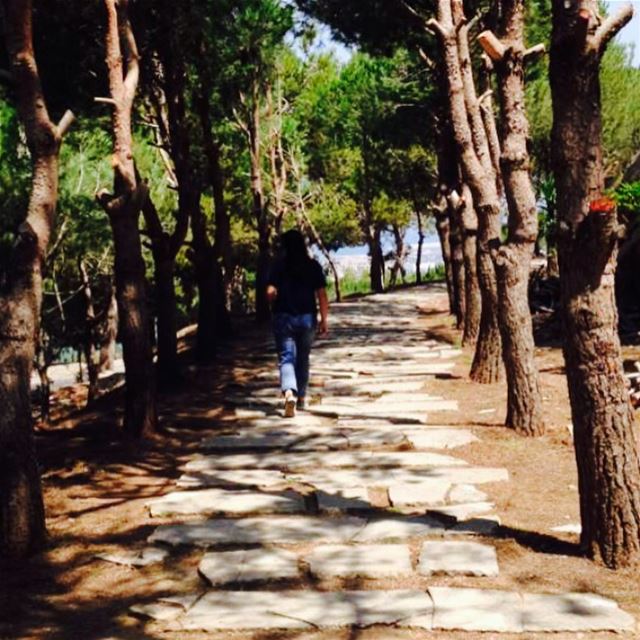 it feels good to be lost in the right direction. walk nature goodvibesonly... (Somewhere On Earth)