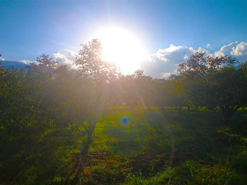 It is during our darkest moments that we must focus to see the  light. ... (Beqaa Valley)