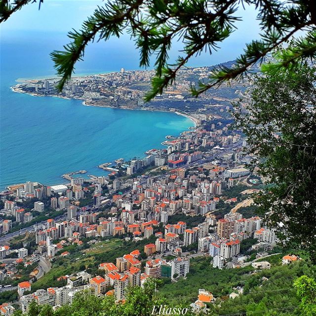 .–––––––––––––––––––––––––––––––––––It is easier to go down a hill than... (جونية - Jounieh)