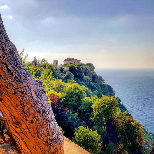 It looks like a  painting 😍Have a good week  igers 😗 mycountrylebanon... (Saydit El Nouriyyeh Chekka)