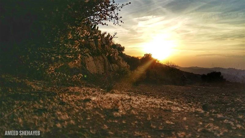 It's all a matter of Perspective .  throwback  perspective  nature  aley ... (Aley District)