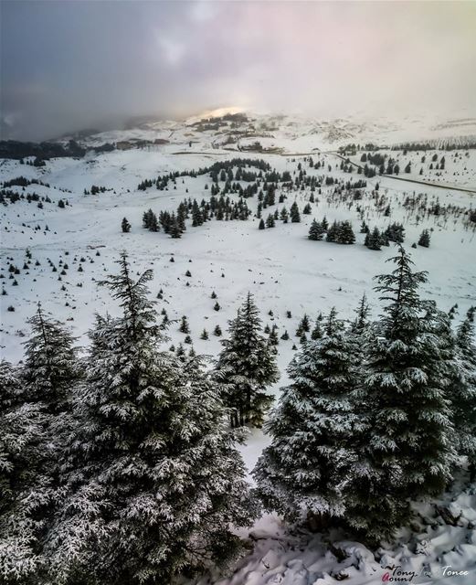 It's been a while I didn't watch a sunrise ...Usually it's something that... (Bcharreh, Liban-Nord, Lebanon)