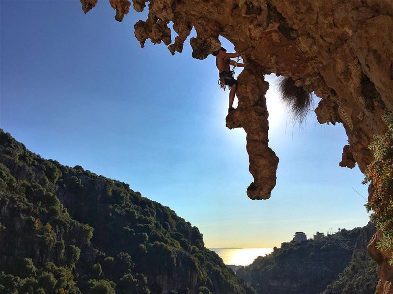 It’s just a huge Tufa..don’t let your imagination trick you.......... (Lebanon)