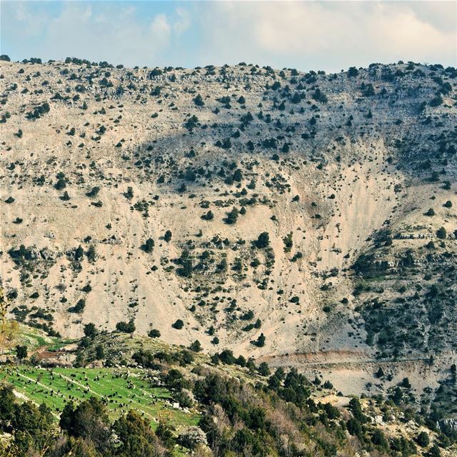 It's never too late to reach the top ⛰ (Jroud Akoura)