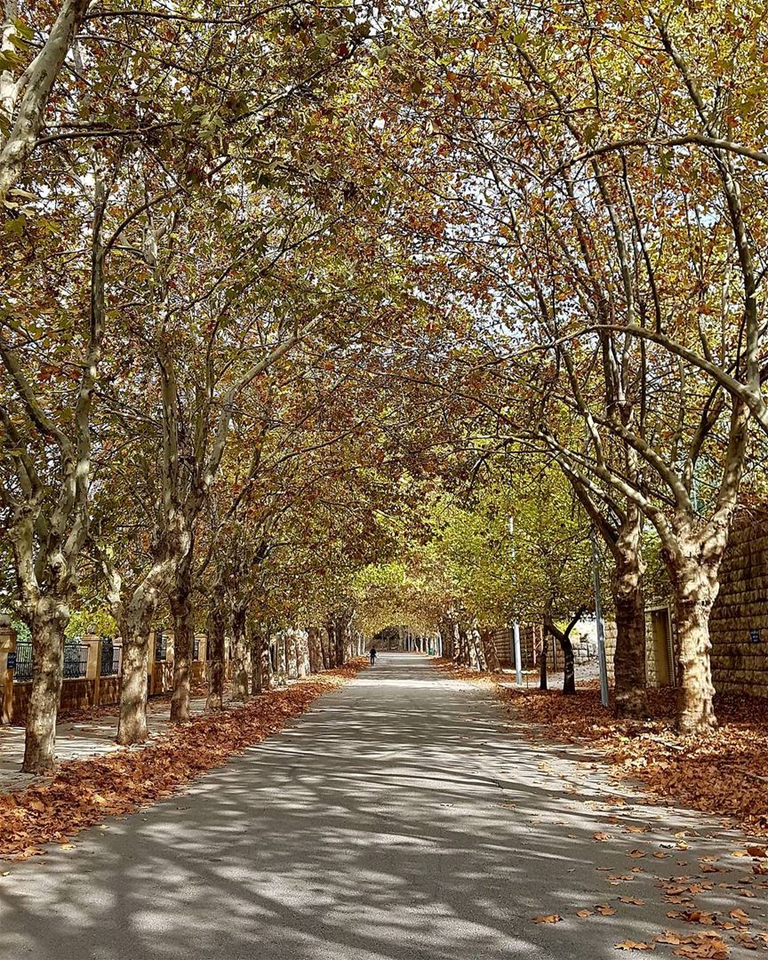 It's not about the destination; it's about the journey.🍁🍂 ... (Sawfar, Mont-Liban, Lebanon)