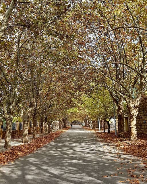 It's not about the destination; it's about the journey.🍁🍂 ... (Sawfar, Mont-Liban, Lebanon)