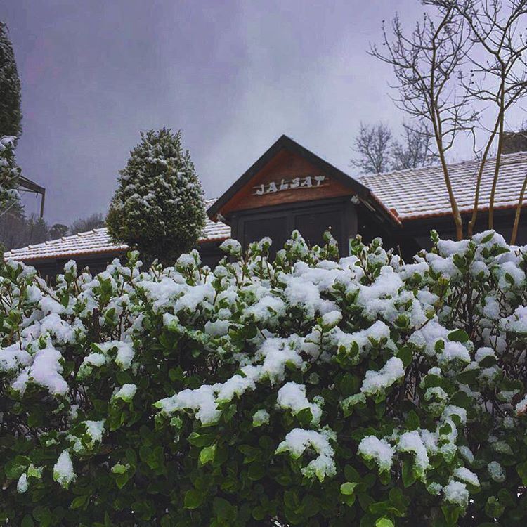 It's  snowing again 🌨  white  winter  spring  jalsat  restaurant ... (Jalsat Resto - Mayrouba)