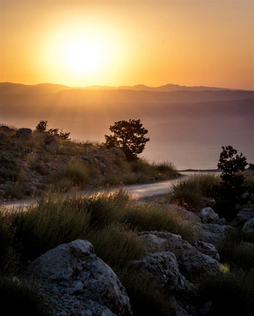 .It's the best time to take a walk. 🌄🌄 Beautiful Sunrise At Barouk,... (Bâroûk, Mont-Liban, Lebanon)