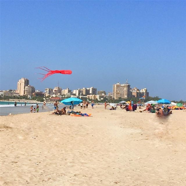 Its always kite time at ... (Tyre-Beach)