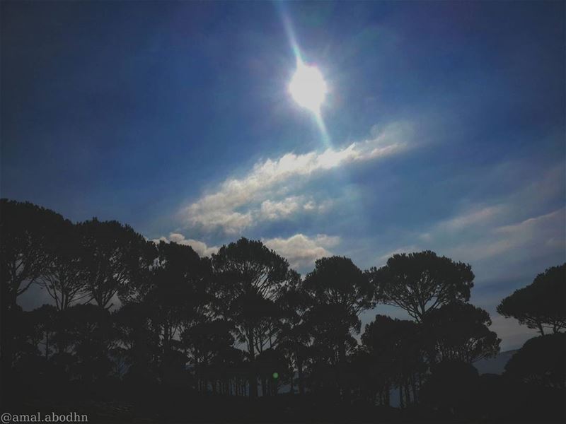 its hasbaya!!! 🍃📷 hasbaya  green  trees  tree  clouds  amazing ...