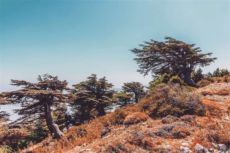 Jaba Oroba, Akkar,Lebanon lebanon  hiking  nature  outdoors ... (Akar, Liban-Nord, Lebanon)