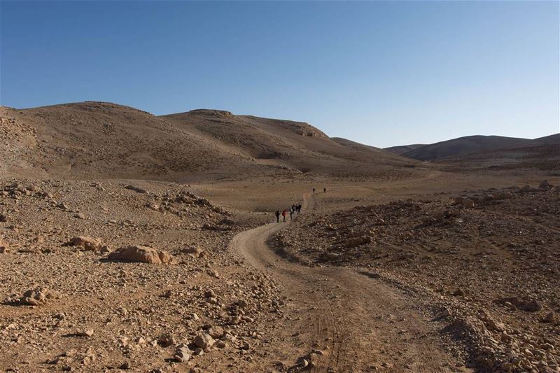 Jabal el Makmel, Lebanon lebanon  hiking  nature  outdoors ... (Qornet es Saouda)