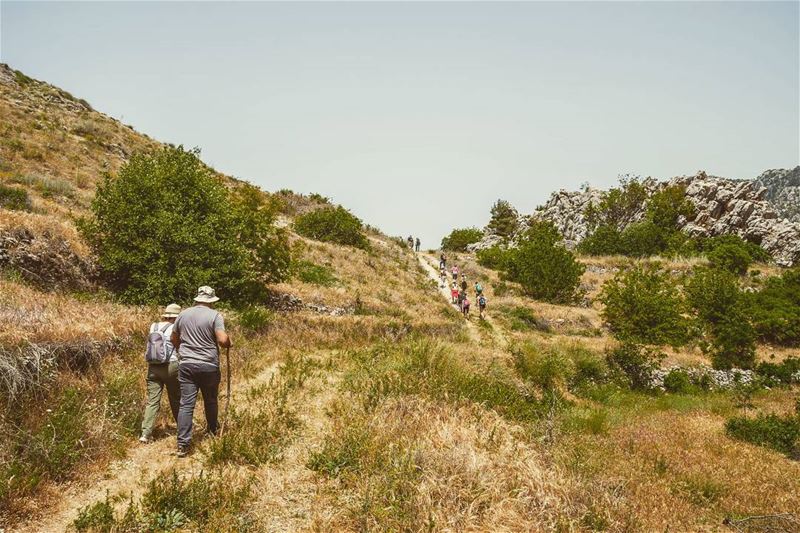 Janne, Kesserwan,... (Janné, Mont-Liban, Lebanon)